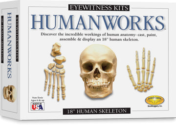 Skullduggery Eyewitness Kit Humanworks Casting Kit