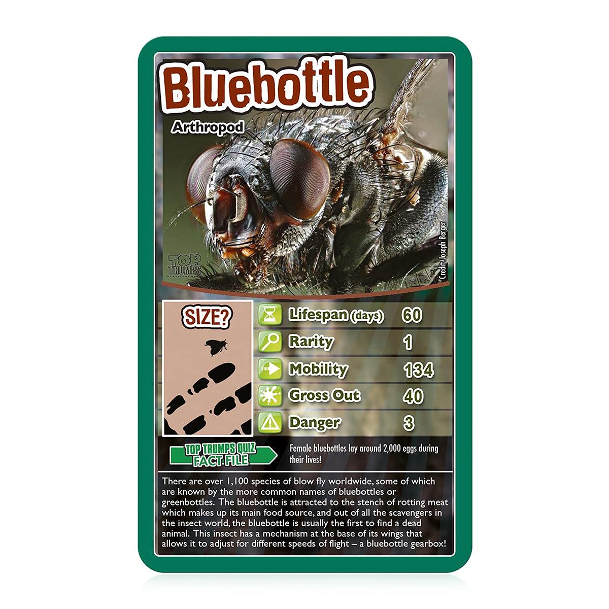 Top Trumps Bugs Classic Card Game, Learn Facts About The Black Widow, Furry Tarantula, Praying Mantis And The Ladybird In This Educational Packed Game, Gift And Toy For Boys And Girls Aged 6 Plus