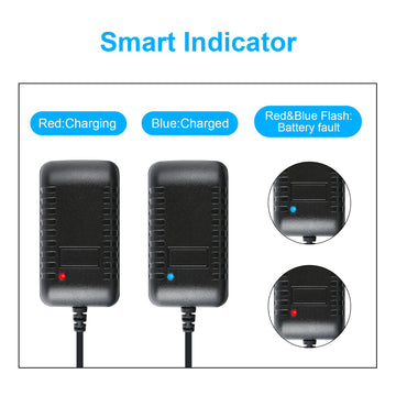 Sognotoy RC Car Battery Charger - Smart NiMH/NiCd for 4.8V-9.6V, Black, Compatible with 2.4V-12V Battery Packs