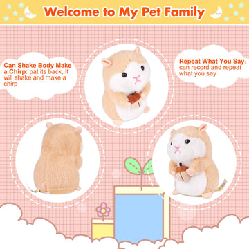 Hamster Talking Pet Toy Repeat What You Say Robot Plush Stuffed Animal Interactive, Dancing And Shaking Robotic Recording Toy, A