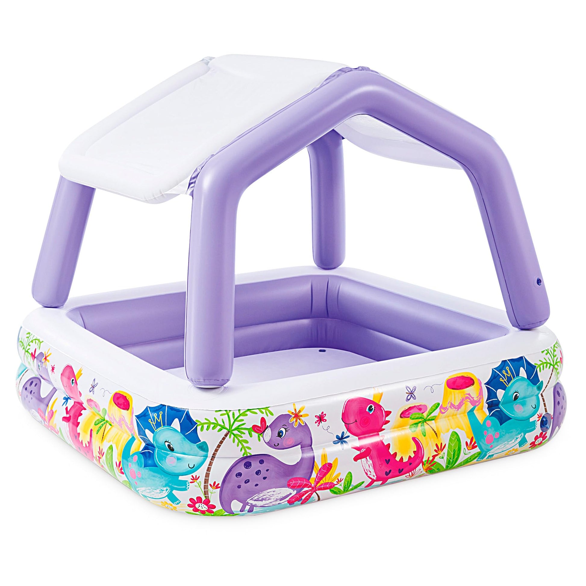 Intex Sun Shade Pool