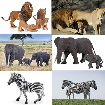 BOLZRA Safari Zoo Animal Figures - 14 Realistic Plastic Jungle Toys for Kids - Educational Playset with Lion, Elephant, Giraffe