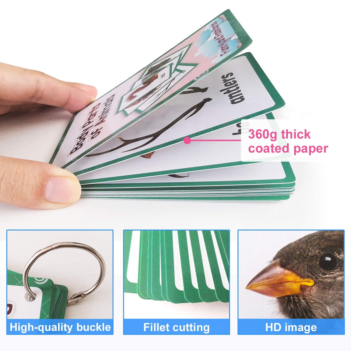12Pcs/Set Animals Body Parts Kids Gifts English Flash Cards Pocket Card Educational Learning Baby Toys For Children Pre-Kindergarten