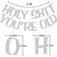 Holy Shit You'Re Old Banner Silver Glitter For 30Th 40Th 50H 60Th 70Th 80Th 90Th Funny Birthday Banner Sign Bunting Party Decor Photo Booth Props (Silver)