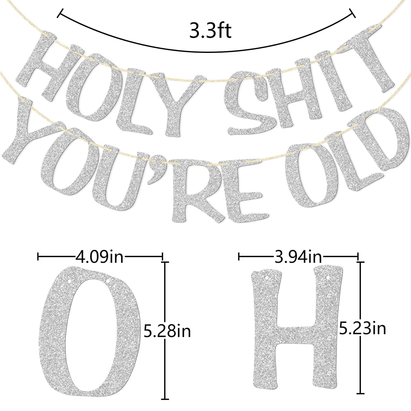 Holy Shit You'Re Old Banner Silver Glitter For 30Th 40Th 50H 60Th 70Th 80Th 90Th Funny Birthday Banner Sign Bunting Party Decor Photo Booth Props (Silver)
