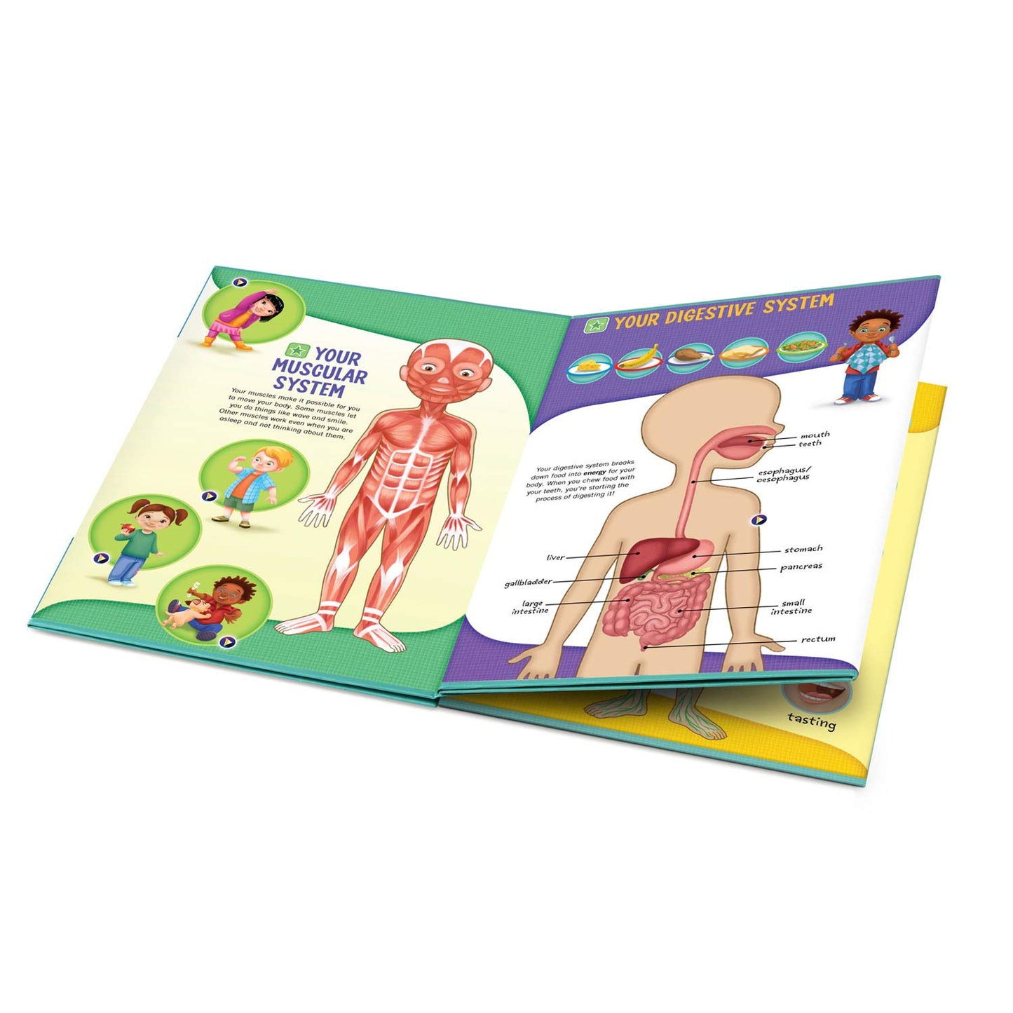 Leapfrog Leapstart Go Deluxe Activity Set - The Human Body