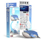 Eugy Blue Whale 3D Puzzle, 25 Piece Eco-Friendly Educational Toy Puzzles For Boys, Girls & Kids Ages 6+