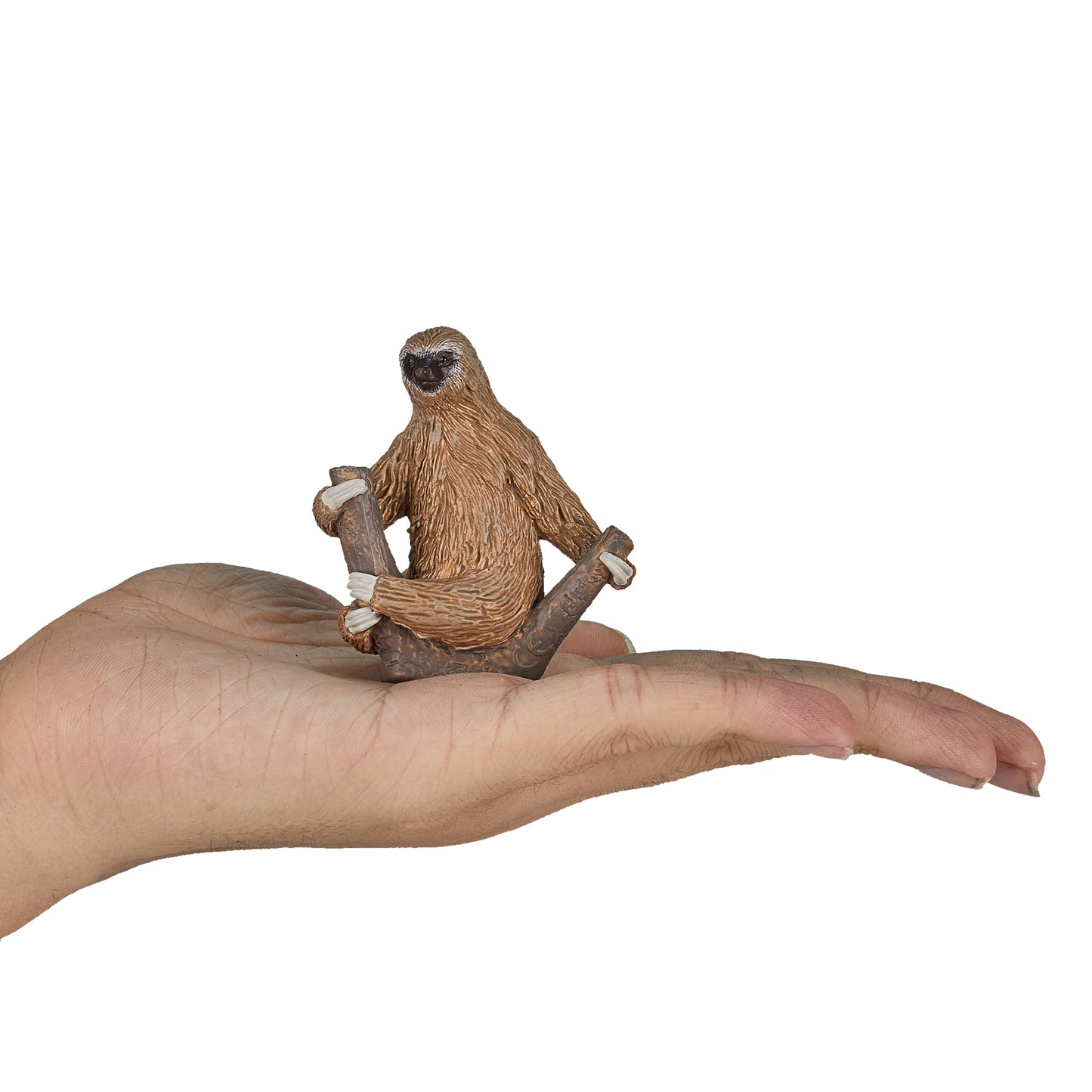 Mojo Two Toed Sloth Realistic International Wildlife Hand Painted Toy Figurine