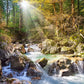 Castorland The Forest Stream Puzzle (2000 Piece)