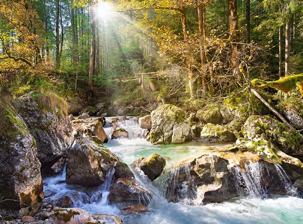 Castorland The Forest Stream Puzzle (2000 Piece)