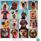 Doggy Faces Puppy Puzzle