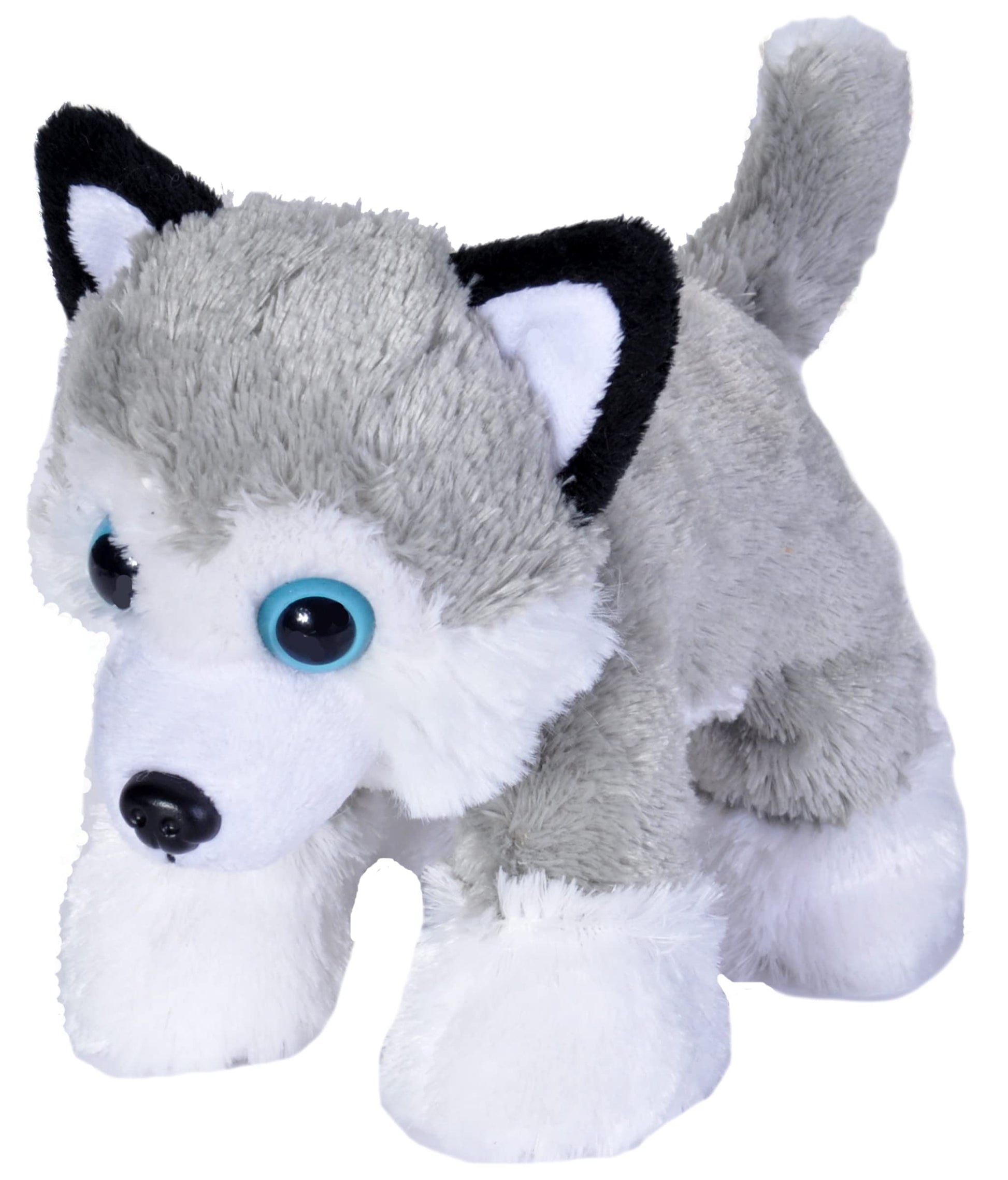 Wild Republic Husky Plush, Stuffed Animal, Plush Toy, Gifts For Kids, Hug’Ems 7