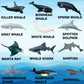 Higherbros Sharks Figures Sea Animals Whale Toys Set Ocean Animal Action Figures, Great For Kids Bath Toys, Beach Toys, Cake Top