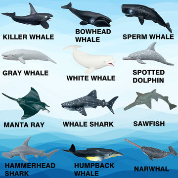 Higherbros Sharks Figures Sea Animals Whale Toys Set Ocean Animal Action Figures, Great For Kids Bath Toys, Beach Toys, Cake Top