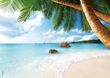 Beduke Jigsaw Puzzles 1000 Piece - Every Piece Is Unique - For Adults Sturdy Thick Cardboard Puzzle Coastal Beach Precise Interl