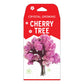 Copernicus Toys Crystal Growing Cherry Tree | Official Terraformer Kit | Grows In Hours | Facts And Instructions Included