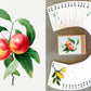 Flonzgift Fruits And Berries Playing Cards (Poker Deck 54 Cards All Different) Vintage Antique Botannical Books Illustration By