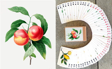 Flonzgift Fruits And Berries Playing Cards (Poker Deck 54 Cards All Different) Vintage Antique Botannical Books Illustration By