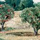 Woodland Scenics Fruit Apples And Oranges