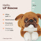 Bearington Boxer Dog Stuffed Animal: Brown and White Plush Fur  enhanced Fill  Realistic Breed Details; Perfect Birthday for Puppy Fans and Kids of All Ages; 8 inches (Lil Roscoe)