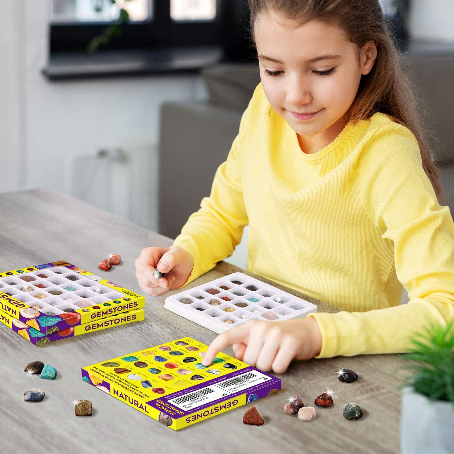 Xxtoys Rocks Collection 25Pcs Rock And Mineral Education Set Gemstones For Kids Geology Gem Kit With Healing Chakra Gemstones, T