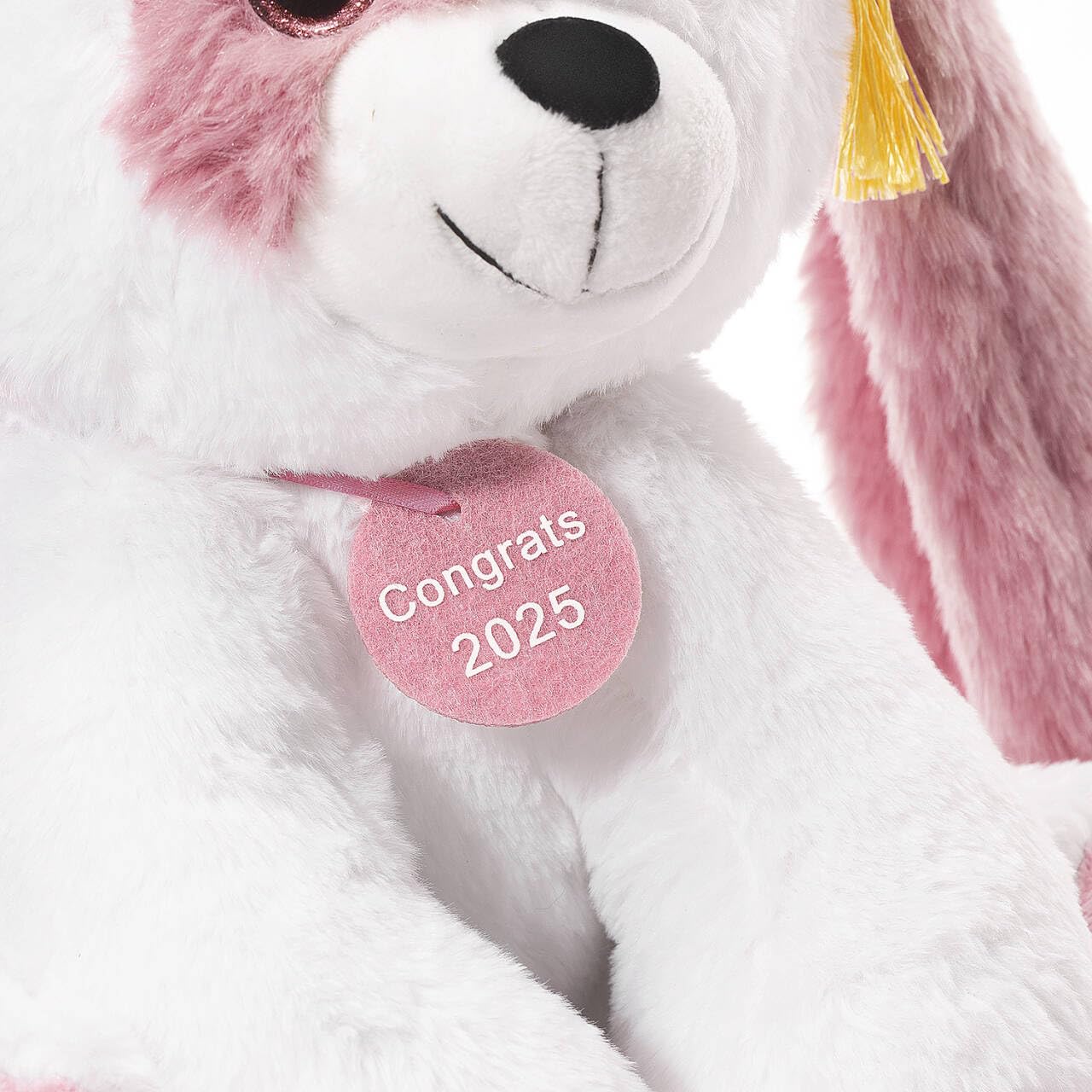 Oukiwi Graduation Gift 8 Inch Graduation Stuffed Animal Graduation Plush Stuffed Animal (Pink)