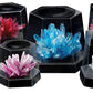 Crystal Garden Young Scientist Set
