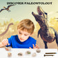 Premium STEM Fossil Digging Kit