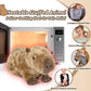 Cuckool Capybara Stuffed Animal - Brown Plush, 8"x14"x7", Microwavable, Lavender Scent, Soft Toy for Kids and Adults, Model DZKPBL001