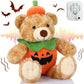 Liliful Valentines Plush Bear Gift 12 Inch Plush Stuffed Animal Insert A Recordable Sound Module Brown Bear Soft Doll Fabric Ani