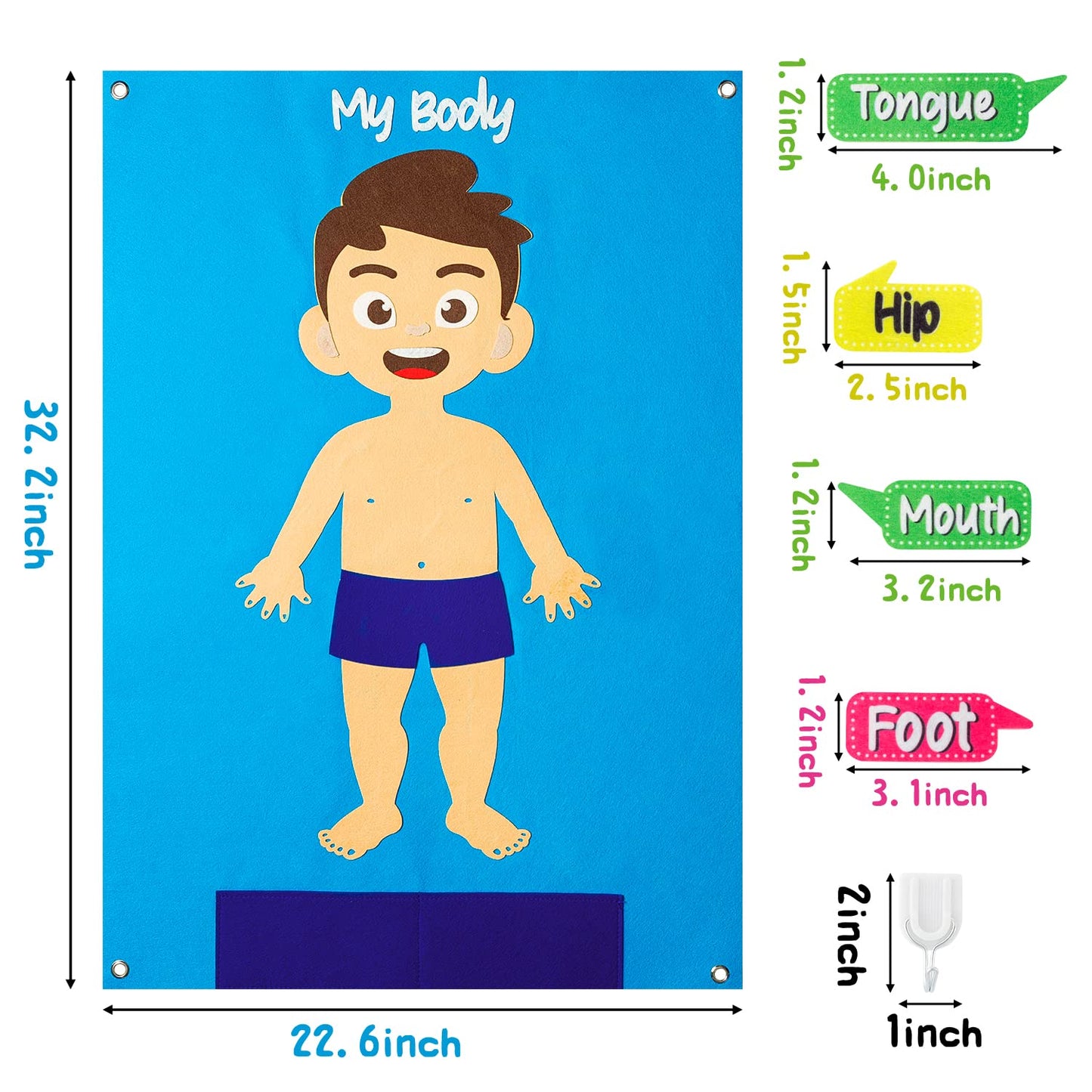 WATINC 35Pcs Felt Story Board Set - Human Organ Learning Kit, Large, Fair Skin, Model CA-WT-Felt Storyboard-Body-80p, Interactive Play for Kids