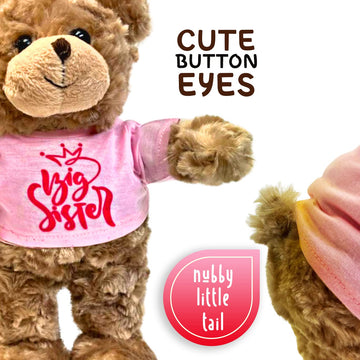 Jolitee Teddy Bear Stuffed Animal Big Sister Plush For Little Girls, Toddlers I'M A Big Sister Gift, 10 Inches