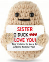 Letken Sister Birthday Gifts Positive Potato Inspirational Gifts For Women Christmas Stocking Stuffers (I Duck Love Sister)