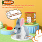 Bilinott Bunny Toys For Kids, Realistic Rabbit Toys With Jumping Action, Wiggling Ears, Twitching Mouth And Nose, Ideal Easter G