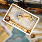 Days of Wonder Ticket to Ride Rails & Sails Board Game - Train Route-Building Strategy Game, Multi, Standard Size, Ages 10+, 2-5 Players