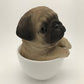 Pacific Giftware Adorable Teacup Pet Pals Puppy Collectible Figurine 5.75 Inches (Pug)