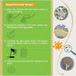 EZ BioResearch Bacteria Science Kit IV - Prepoured LB-Agar Plates, Cotton Swabs, Free Science Fair Project E-Book, Medium Size