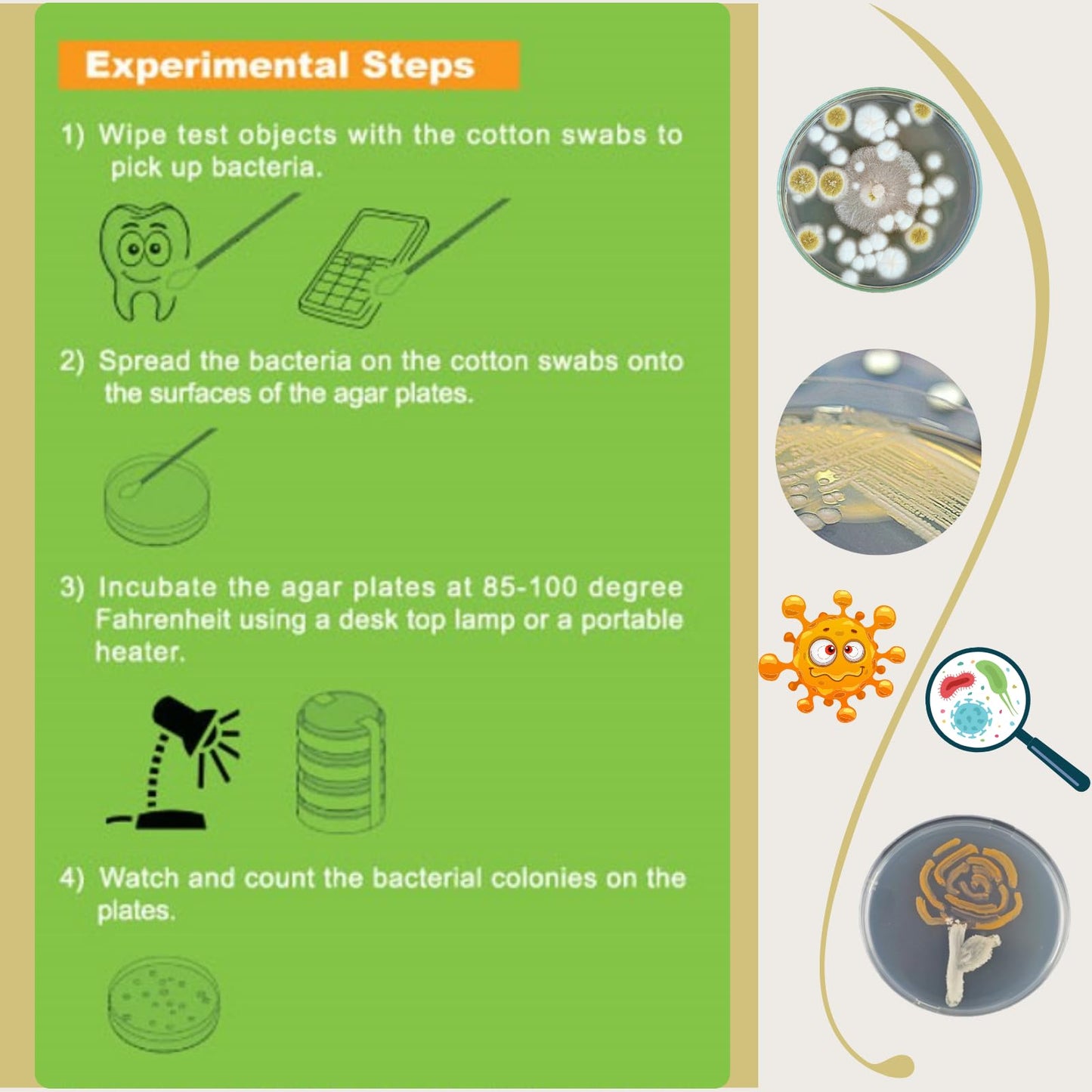 EZ BioResearch Bacteria Science Kit IV - Prepoured LB-Agar Plates, Cotton Swabs, Free Science Fair Project E-Book, Medium Size