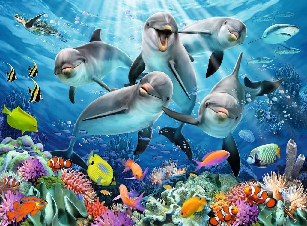 Ravensburger Dolphins in The Coral Reef 500 Piece Jigsaw Puzzle for mature-themeds - 14710 - Every Piece is Unique  Softclick Technology Means Pieces Fit Together Perfectly