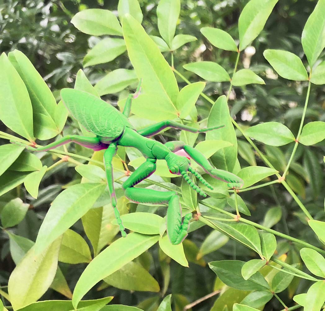 Guaishou Big Insect Toy Plastic Model Lifelike Assorted Figures Realistic Insects Toys 12 PCS Bee Beetle Mantis Spider Ladybug