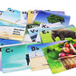 Negi Small And Capital Alphabets Flashcards For Kids Toddler (Preschool Pack) Laminated Durable Flash Cards Az Alphabets