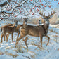Cobble Hill 500 Piece Puzzle - Winter Deer - Sample Poster Included