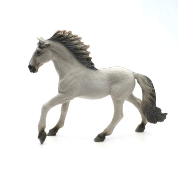 13915 - Sorraia Mustang Stallion
