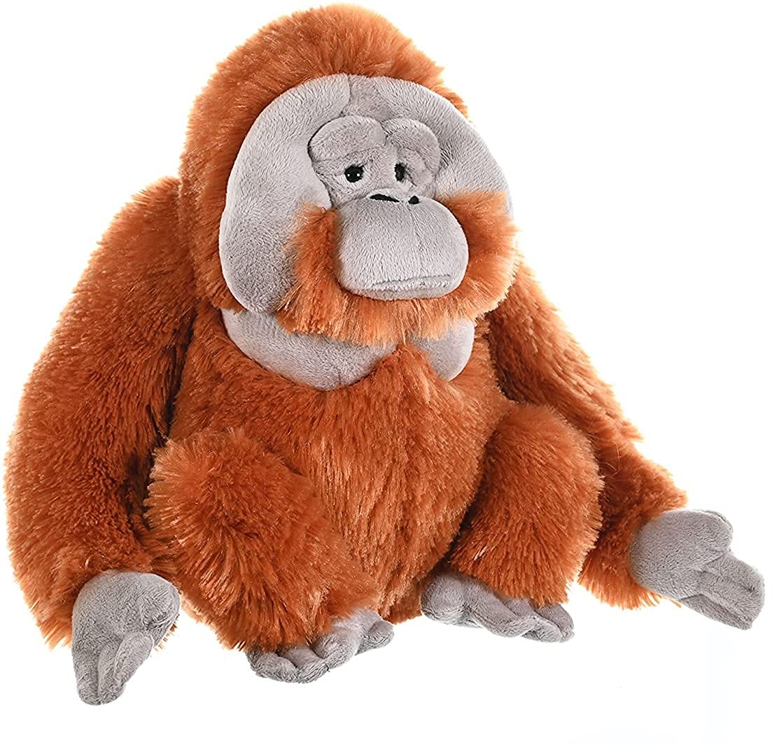 Wild Republic Orangutan Plush, Stuffed Animal, Plush Toy, Gifts For Kids, Cuddlekins 12 Inches