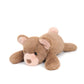 RECUR Plush Stuffed Animal Teddy Bear  Soft Plushie Toys Adorable Gift for All Ages
