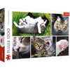 Trefl 1500 Piece Jigsaw Puzzle  Just Cat Things Collage