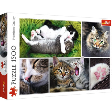 Trefl 1500 Piece Jigsaw Puzzle  Just Cat Things Collage