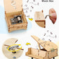 Poraxy 4 Set Stem Kits For Kids Ages 8-10 10-12, Toys For Ages 8-13, Music Box, Robot 3D Puzzle Educational Science Building Projects Crafts, Birthday Gifts For Boys Girls 7 8 9 10 11 12 13 Year Old