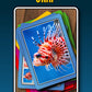 100 Pics Smart Cards Animals, 7 Games In 1, Pairs, Snap, Trumps, Rummy, Memory Quiz, Learn Facts, Travel Game, Gift, Stocking Stuffer, 50 Cards, Age 5+, 1-8 Players