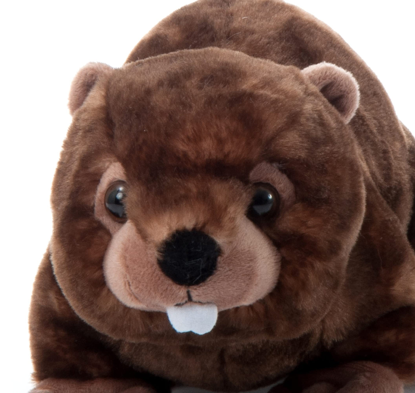 The Petting Zoo Beaver Plush Toy, 12 Inch Brown Stuffed Animal, Gifts for Kids, Model 420345